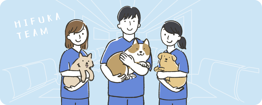 泉南動物病院画像