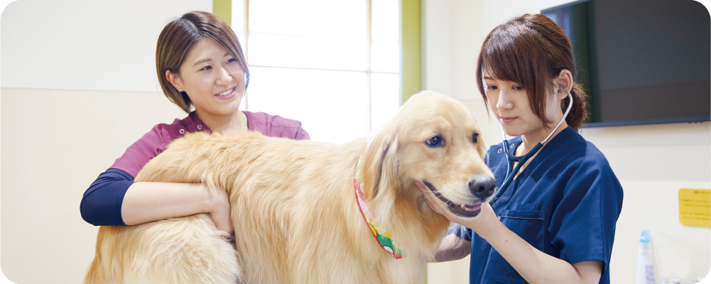 泉南動物病院画像