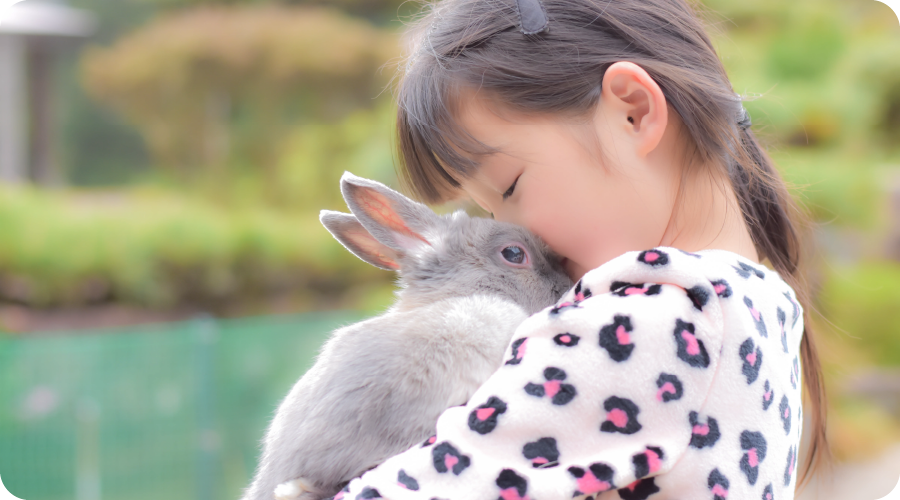 泉南動物病院画像