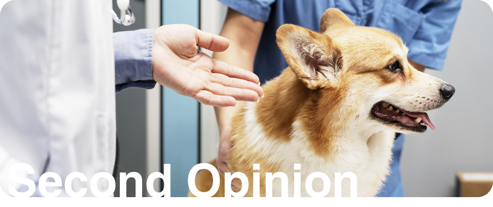 Second Opinion