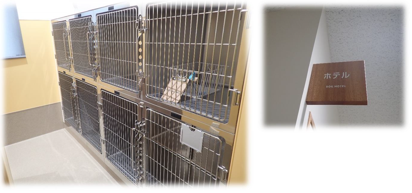 泉南動物病院画像