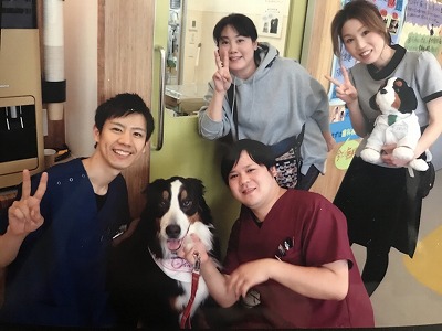 泉南動物病院画像