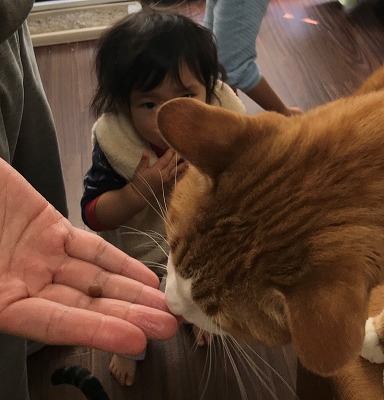 泉南動物病院画像