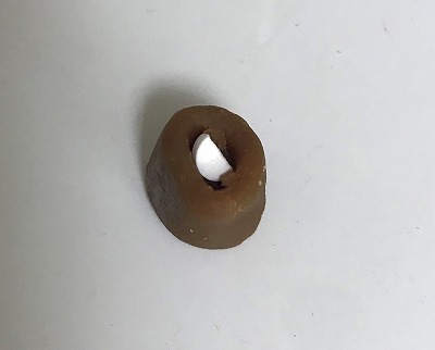 泉南動物病院画像
