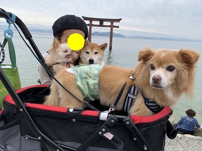 泉南動物病院画像