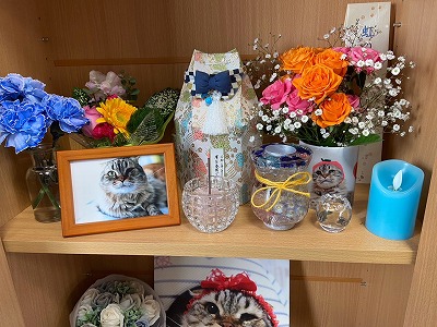泉南動物病院画像