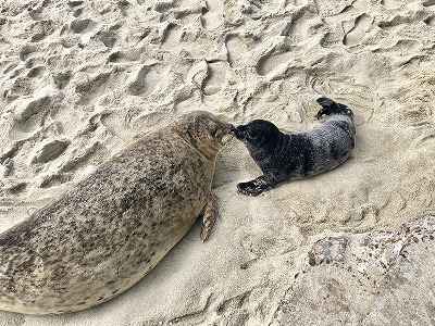 泉南動物病院画像