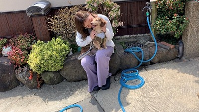泉南動物病院画像