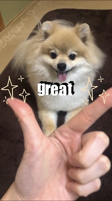 泉南動物病院画像