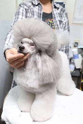 泉南動物病院画像