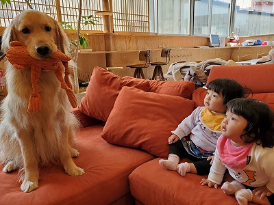 泉南動物病院画像