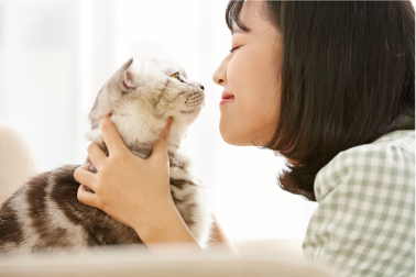 泉南動物病院画像