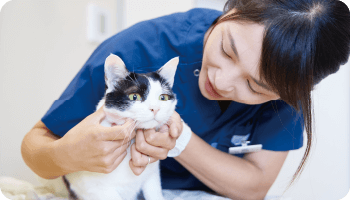 泉南動物病院画像