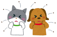 泉南動物病院画像