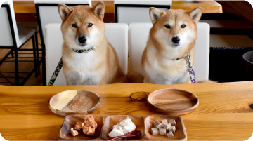泉南動物病院画像