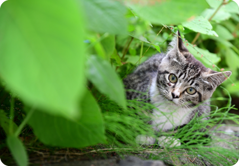 泉南動物病院画像