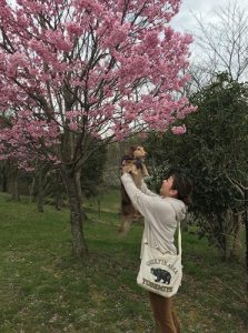 泉南動物病院画像