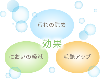 泉南動物病院画像