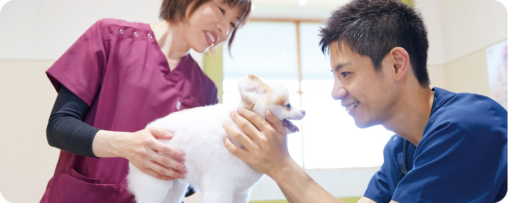 泉南動物病院画像