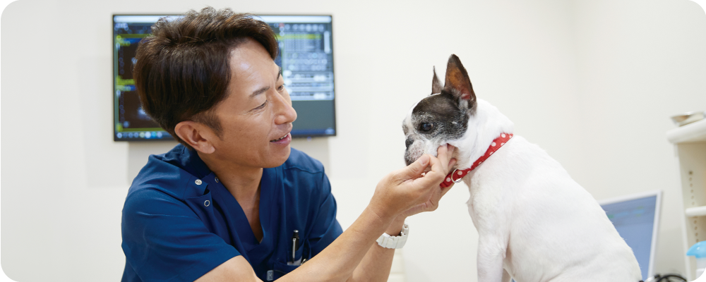 泉南動物病院画像