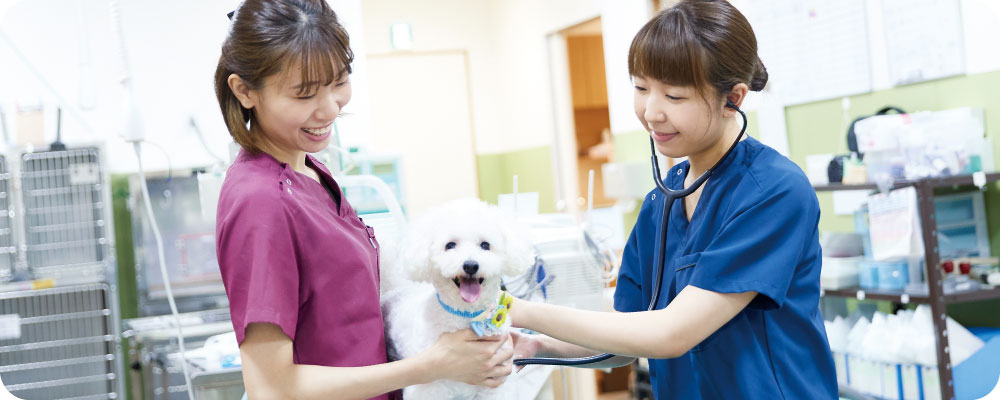泉南動物病院画像