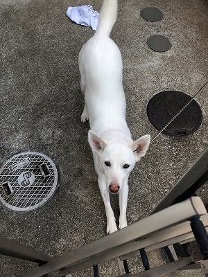 泉南動物病院画像