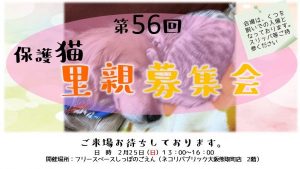 泉南動物病院画像