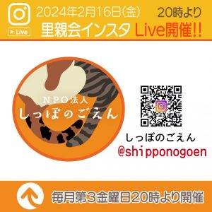 泉南動物病院画像