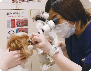 泉南動物病院画像