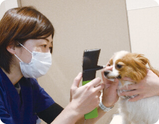 泉南動物病院画像