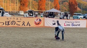 泉南動物病院画像