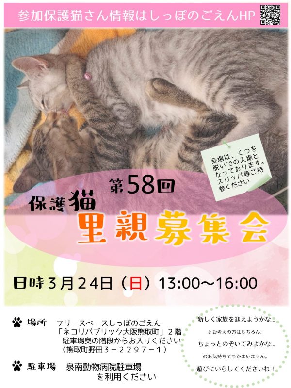 泉南動物病院画像