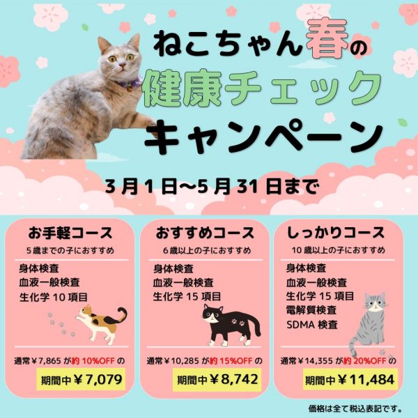 泉南動物病院画像