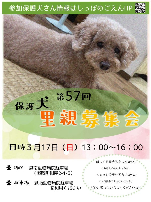 泉南動物病院画像