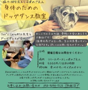 泉南動物病院画像