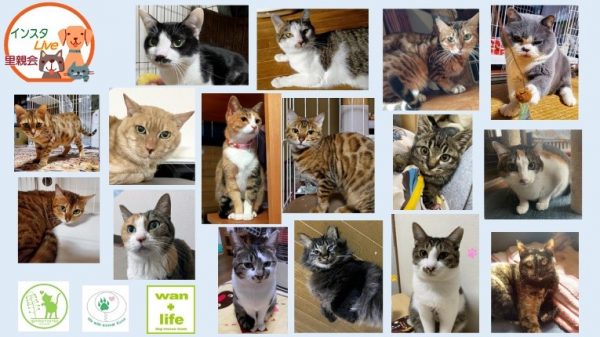 泉南動物病院画像