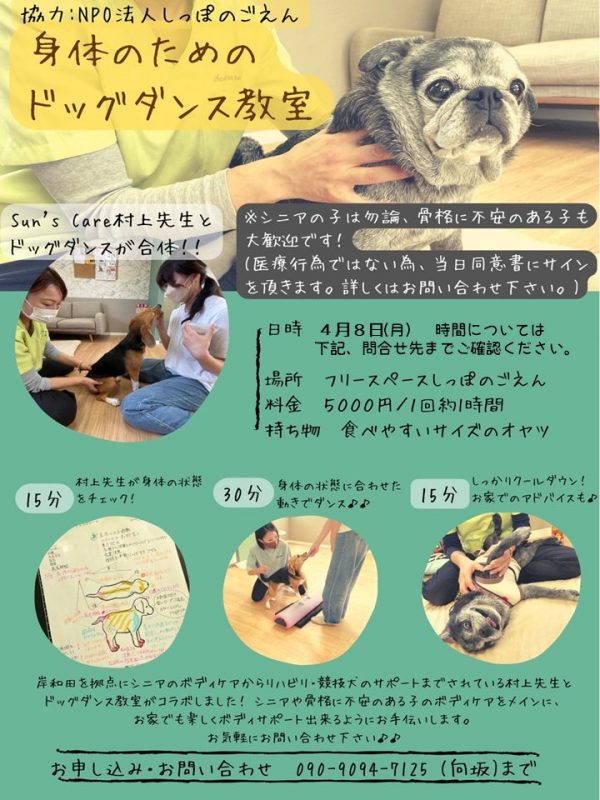泉南動物病院画像