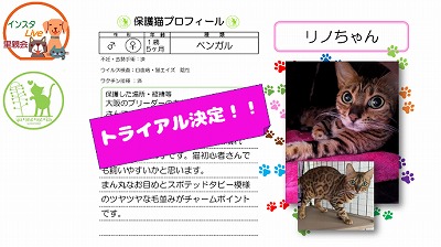 泉南動物病院画像