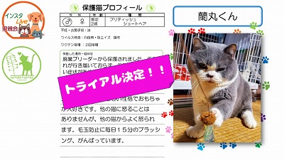 泉南動物病院画像