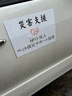 泉南動物病院画像