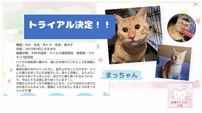 泉南動物病院画像