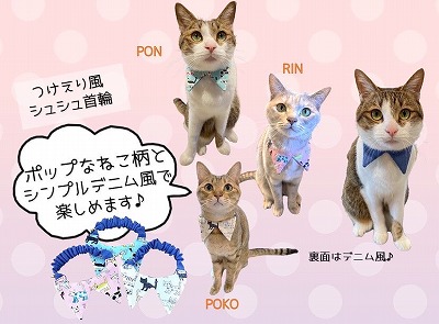 泉南動物病院画像