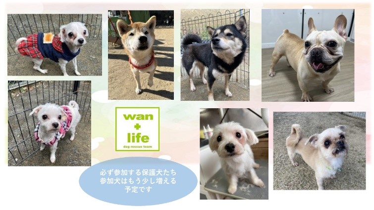 泉南動物病院画像