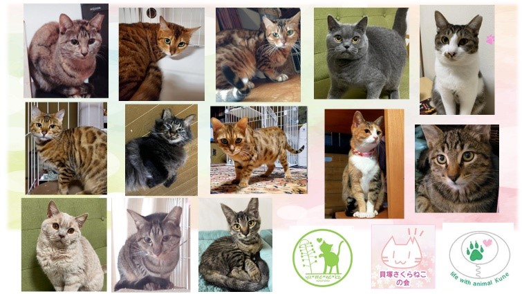 泉南動物病院画像