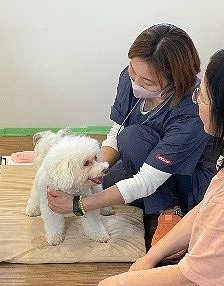 泉南動物病院画像