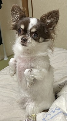 泉南動物病院画像