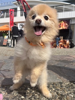 泉南動物病院画像