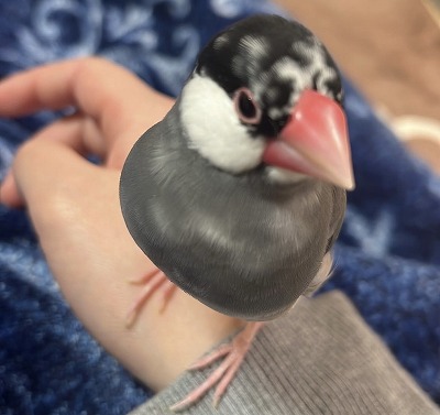 泉南動物病院画像