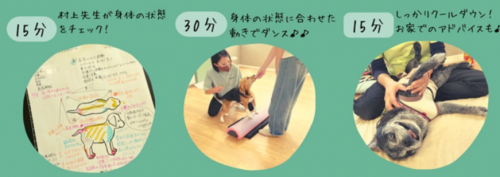 泉南動物病院画像