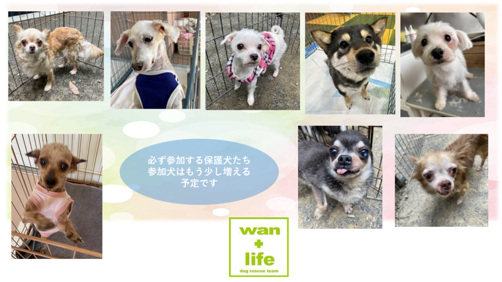 泉南動物病院画像